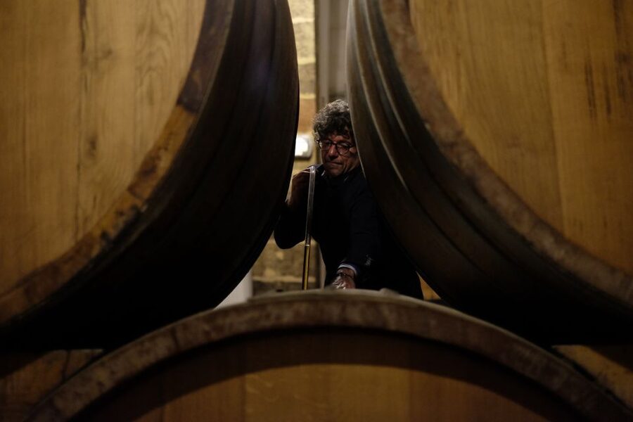 Marsala: Florio Winery Tour with Local Wine Tasting - Cantine Florio in Marsala: Why This Setting Matters