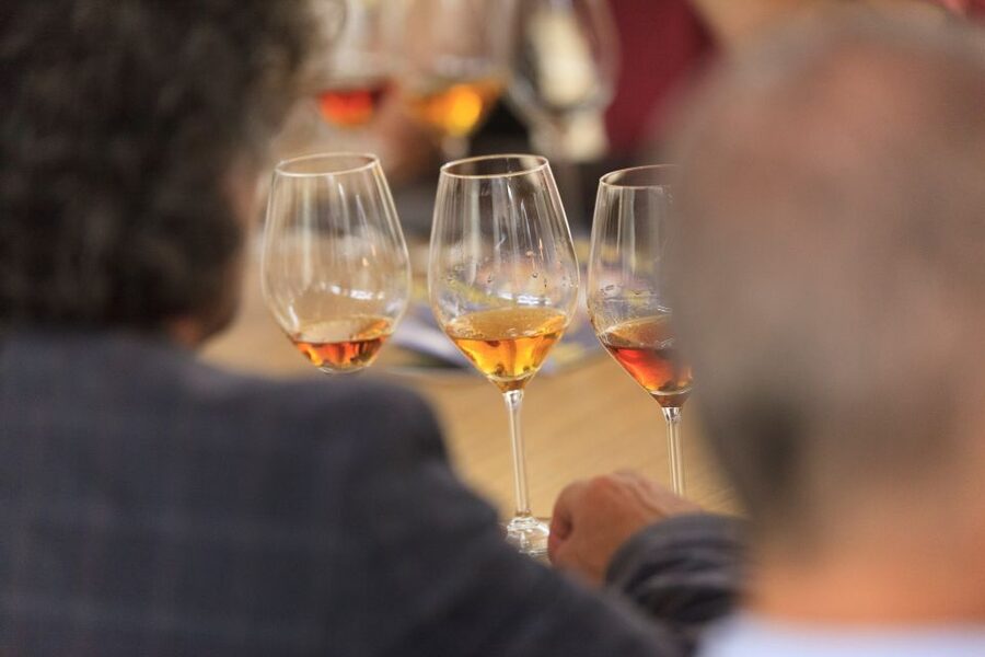 Marsala: Florio Winery Tour with Local Wine Tasting - Price, Time, and Group Size: What You Get for $45.55