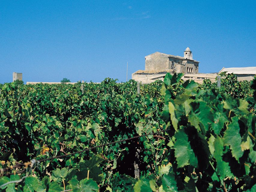 Marsala: Winery Tour with Wine Tasting and Local Products - Key highlights at a glance