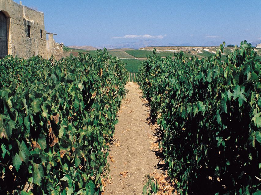 Marsala: Winery Tour with Wine Tasting and Local Products - Marsala winery tour: what you get in just 45 minutes