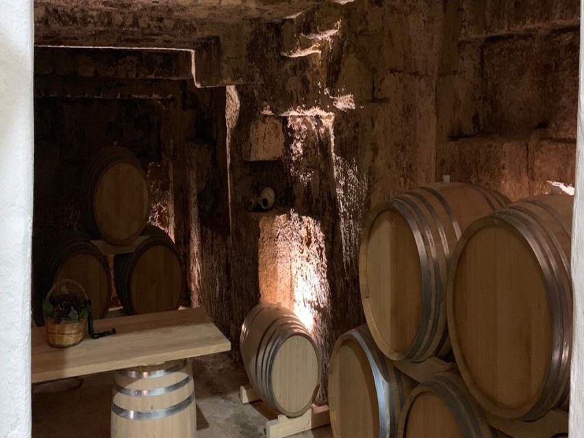 Marsala: Winery Tour with Wine Tasting and Local Products - When this tour fits best (and when it doesn’t)
