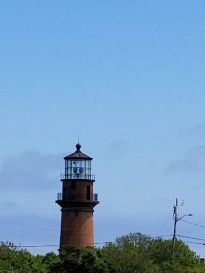 Martha's Vineyard: All Island Tour - The big value: four step-off stops, not just sightseeing from a bus