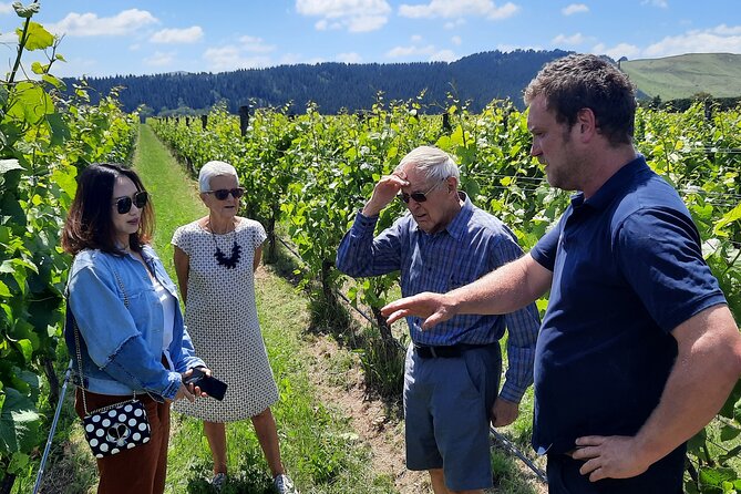 Martinborough Winery and Foodie Day Tour with vineyard lunch - Key Points You’ll Feel Immediately