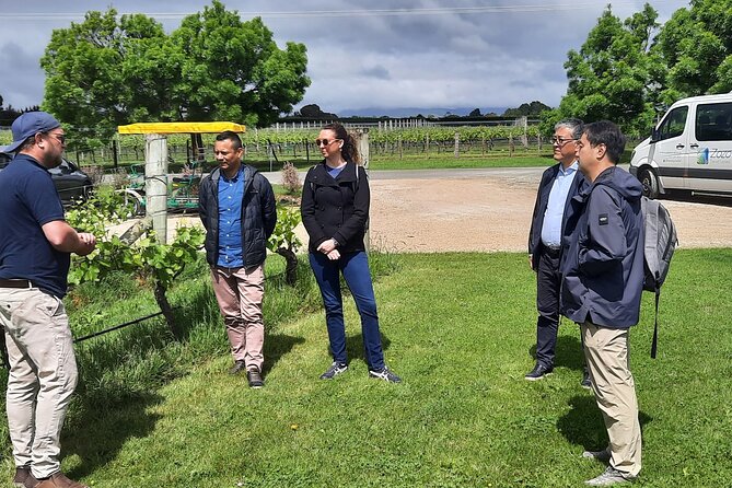 Martinborough Winery and Foodie Day Tour with vineyard lunch - Vineyard Lunch with Winemaker Tour: Where You Get the Why, Not Just the What