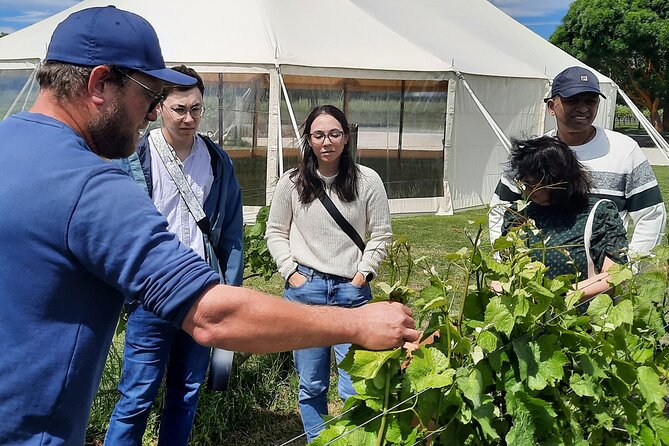 Martinborough Winery and Foodie Day Tour with vineyard lunch - Schoc Chocolates Finish: The Playful Last Bite