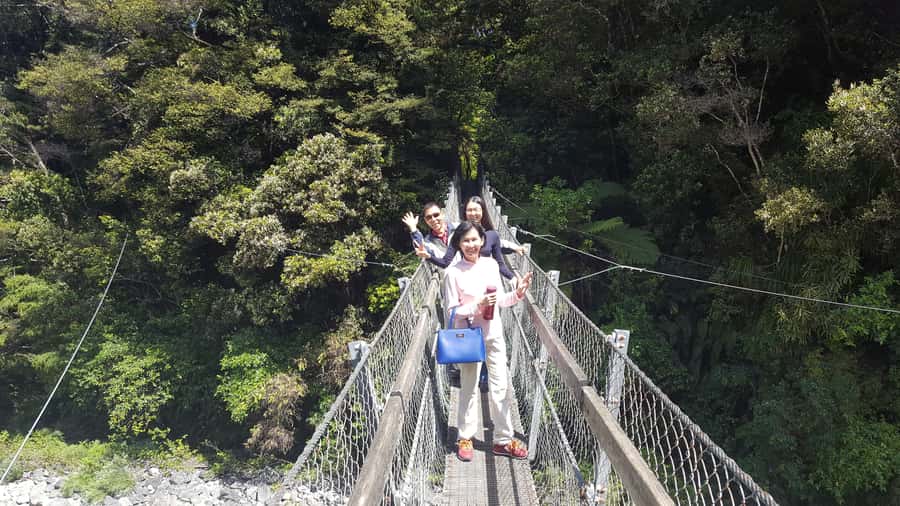 Martinborough Winery and South Wairarapa Wild Coast Tour - A Small-Group Day Across Wine Country and the Wild Coast