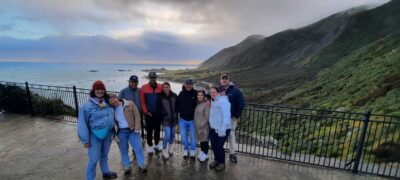 Martinborough Winery and South Wairarapa Wild Coast Tour - Kaitoke Regional Park: Swing Bridge to Native Rainforest Walk