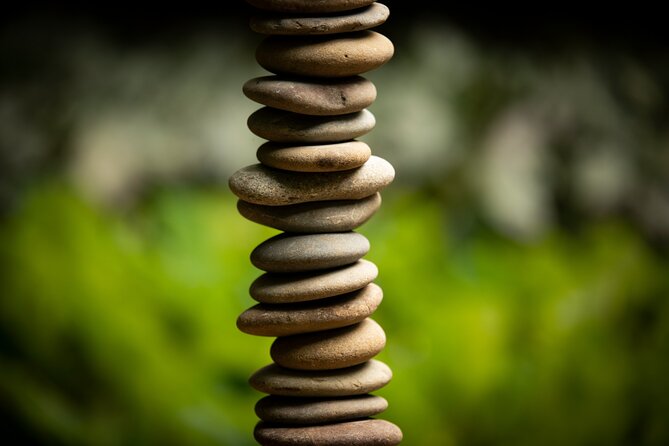 Matakana Art & Vineyard Experience incl. Lunch & Wine Tasting Tour From Auckland - Chocolate Brown: the vintage sweet-shop start
