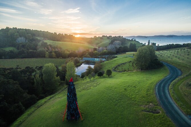 Matakana Art & Vineyard Experience incl. Lunch & Wine Tasting Tour From Auckland - Price and value: what $588.92 per person buys you