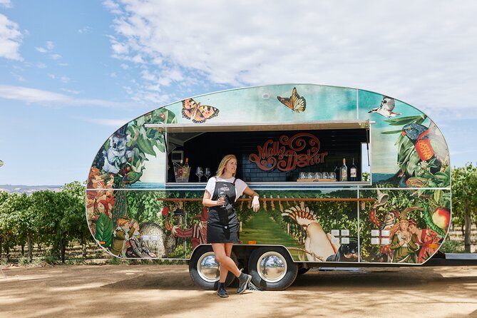 McLaren Vale North Hop-On Hop-Off Wine Tour - How the Guides Shape the Day (And Why It Matters)
