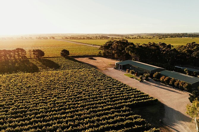 McLaren Vale South Hop-On Hop-Off Winery Tour - Key things I’d bank on before you go