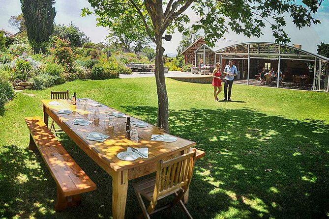 McLaren Vale Winery Small Group Tour with Wine Tasting and Lunch - Key things to know before you go