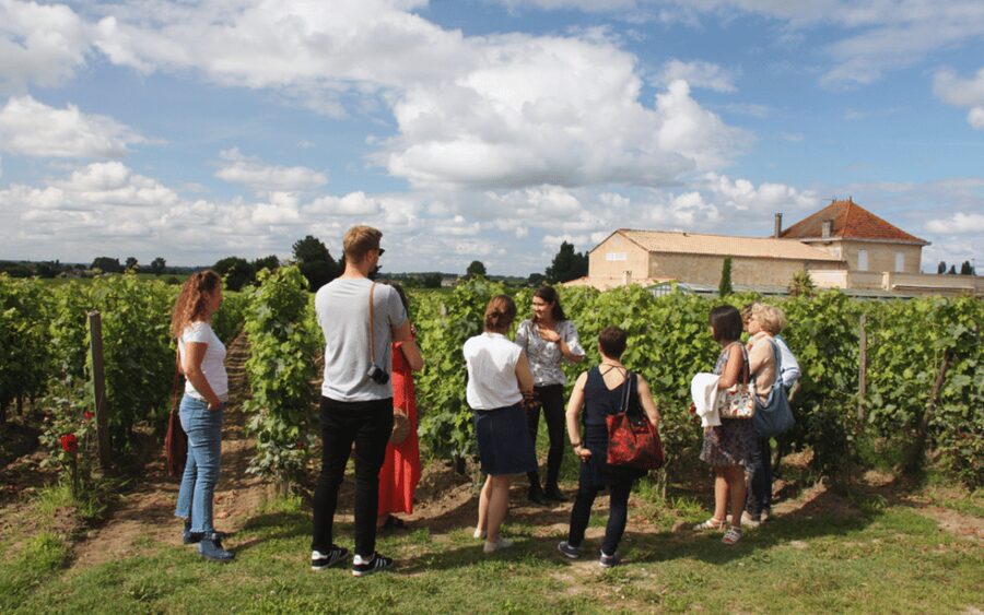 Médoc Morning Wine Tour - Winery & Tastings - Médoc Morning in 4 Hours: Why the timing works