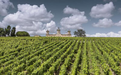 Médoc Morning Wine Tour - Winery & Tastings - Meeting at the Bordeaux Tourist Office (and why punctual matters)
