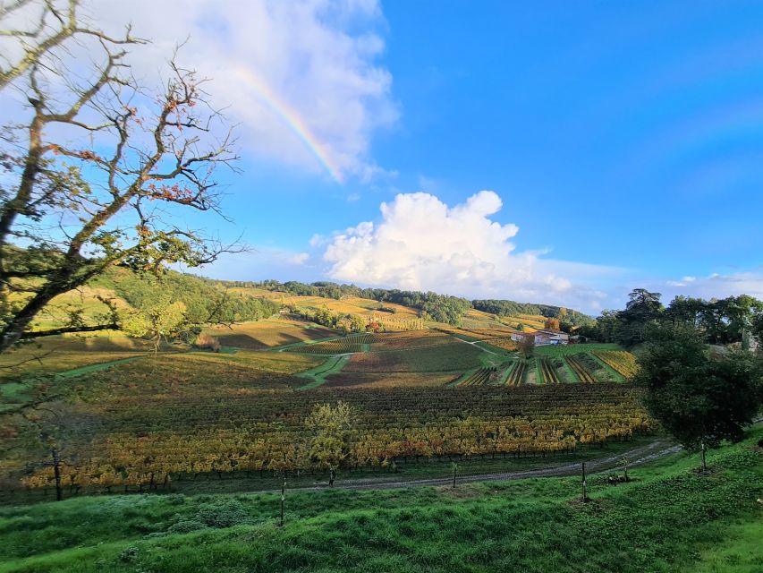 Médoc Morning Wine Tour - Winery & Tastings - Riding out from Bordeaux: what the minivan ride means for comfort