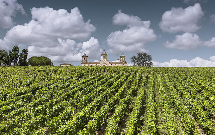 Médoc Morning Wine Tour - Winery & Tastings - Meeting at the Bordeaux Tourist Office (and why punctual matters)