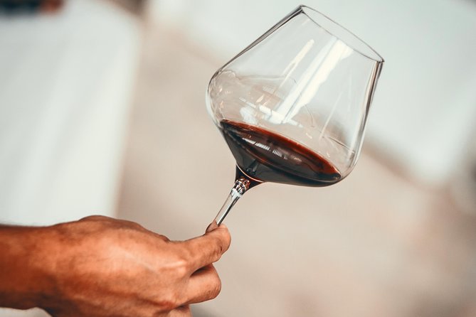 Medoc Region Wine Day Trip with Vineyard Visits & Tastings from Bordeaux - Key points to know before you go