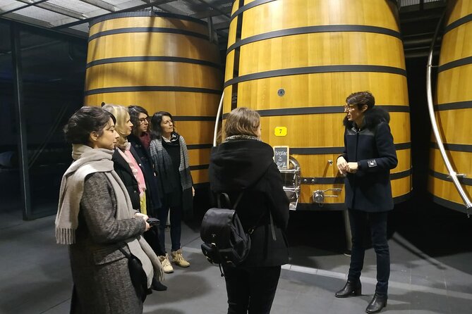 Medoc Region Wine Day Trip with Vineyard Visits & Tastings from Bordeaux - Why Médoc makes sense as a first Bordeaux wine education