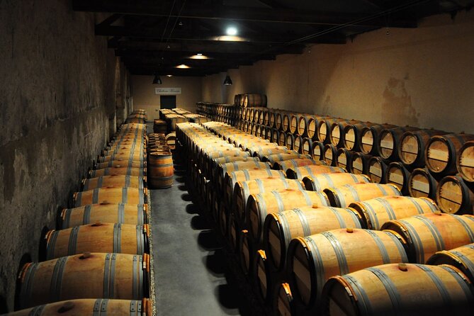 Medoc Region Wine Day Trip with Vineyard Visits & Tastings from Bordeaux - Pauillac break: what to do with free time (and how to plan lunch)