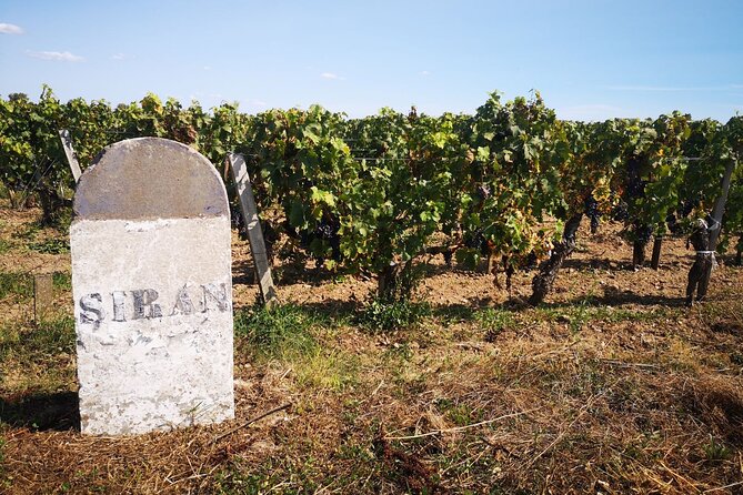 Medoc Region Wine Day Trip with Vineyard Visits & Tastings from Bordeaux - Final château stop: classified growth or Crus Bourgeois for a satisfying close