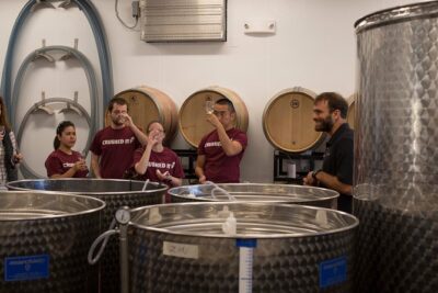 Meet the Winemakers - Seven Birches Winery Tour - Inside the production room: the winemaking process you can actually picture