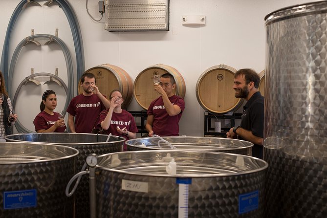Meet the Winemakers - Seven Birches Winery Tour - Inside the production room: the winemaking process you can actually picture