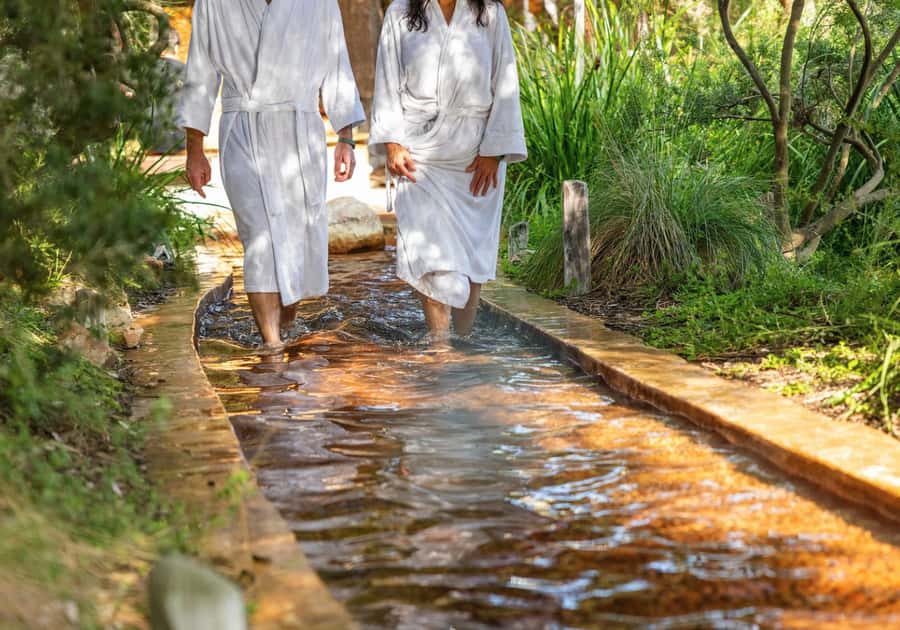 Melbourne/Mornington: Peninsula Hot Springs and Winery Tour - Key highlights worth putting on your radar