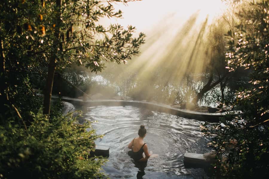 Melbourne/Mornington: Peninsula Hot Springs and Winery Tour - Price and value: what $162 covers (and why it’s not just a bus day)