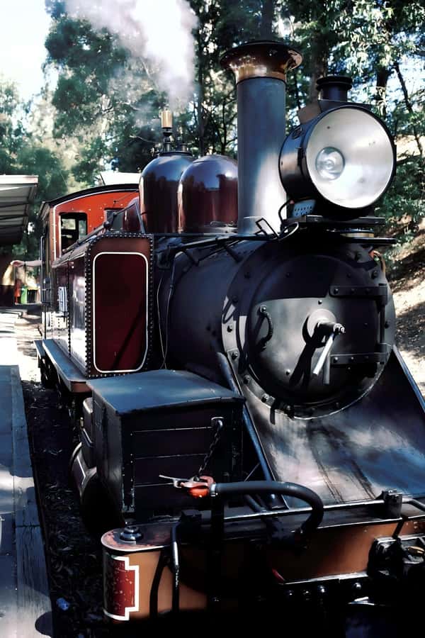 Melbourne: Puffing Billy Train & Healesville & Winery Tour - Key highlights to look for