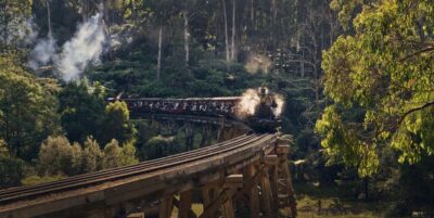 Melbourne: Puffing Billy Train & Healesville & Winery Tour - Brighton Beach Bathing Boxes: the fastest way to get iconic photos