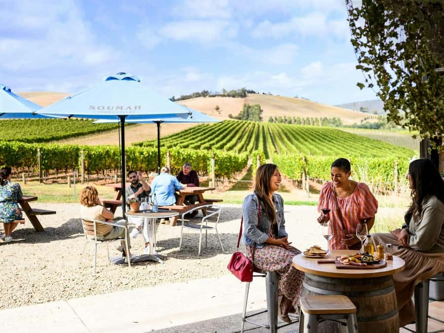 Melbourne: Yarra Valley Half-Day Wine Tour - Why this half-day Yarra plan works so well