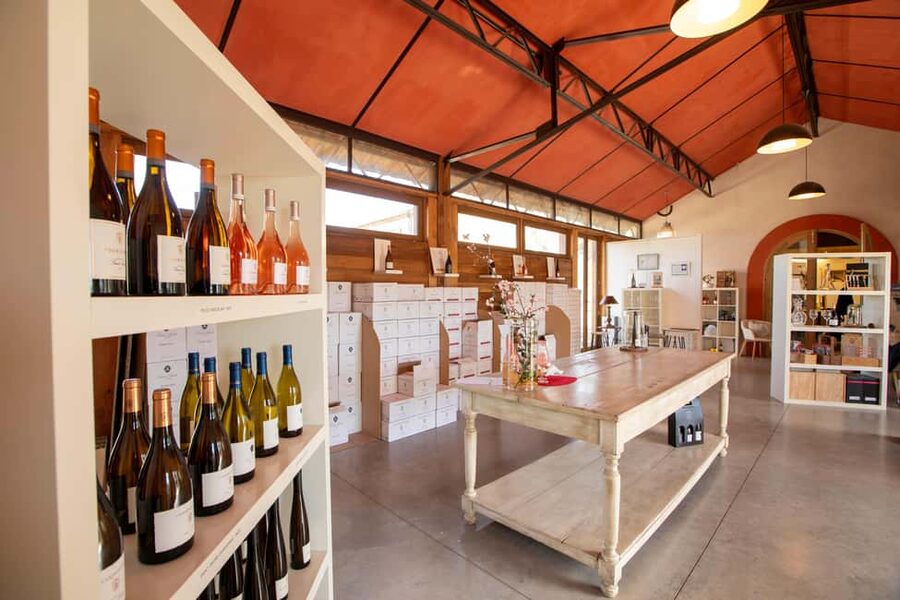 Mèze: Domaine Saint André Vineyard Guided Tour with Tasting - Entering the Domaine: what this 1-hour tour really delivers