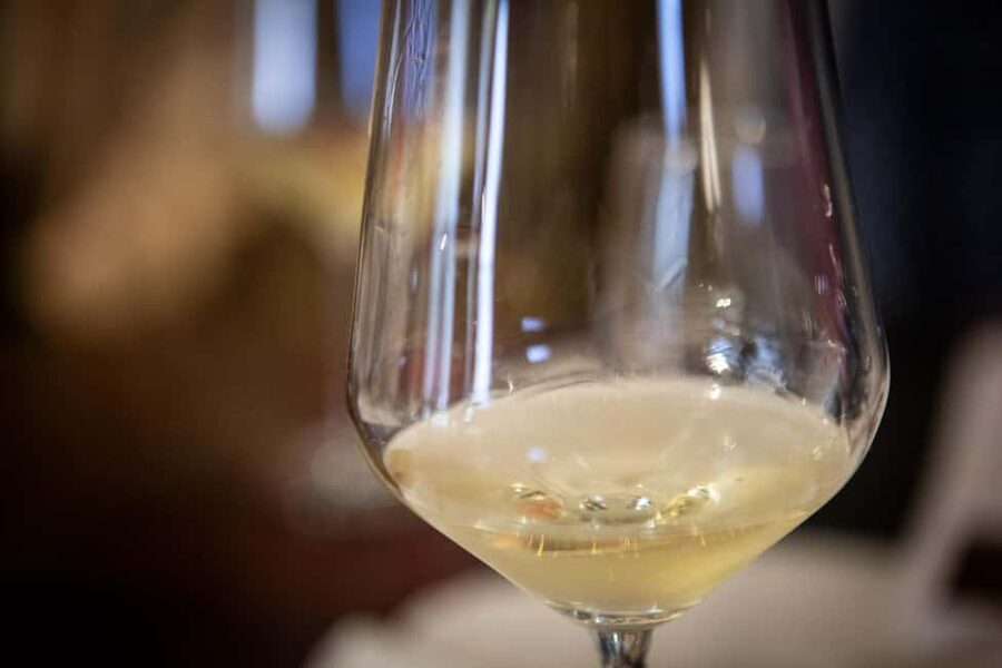 Mezzocorona: Teroldego Vineyard Tour and Wine Tasting - The Tasting Menu: three wines, three distinct moods