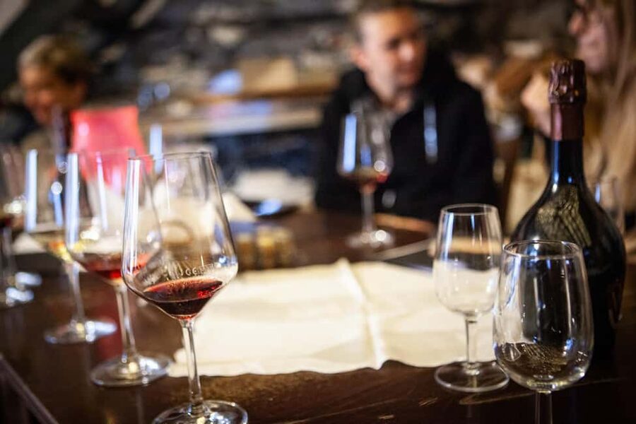 Mezzocorona: Teroldego Vineyard Tour and Wine Tasting - Who This Tour Is For (and who should skip it)