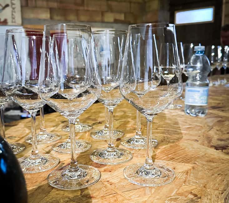 Mezzocorona: Teroldego Vineyard Tour and Wine Tasting - Price and Logistics: Is $77 worth it?