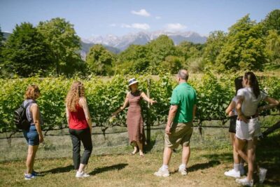 Mezzocorona: vineyard Tour on Mount and tasting of 3 wines - Cable car to Monte Mezzocorona: views you get fast