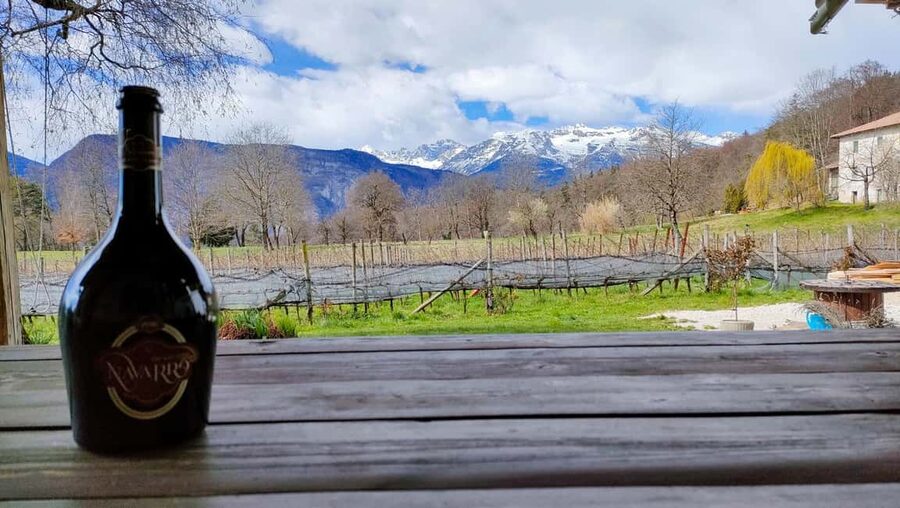 Mezzocorona: vineyard Tour on Mount and tasting of 3 wines - Skywalk over the vineyards: the view walk that earns its photos