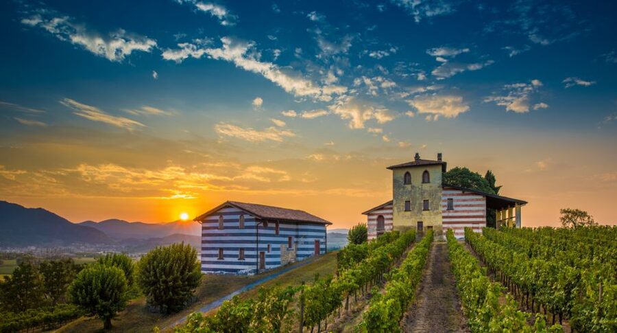 Milan: Franciacorta Winery and Bergamo Day Trip with Lunch - Key highlights at a glance
