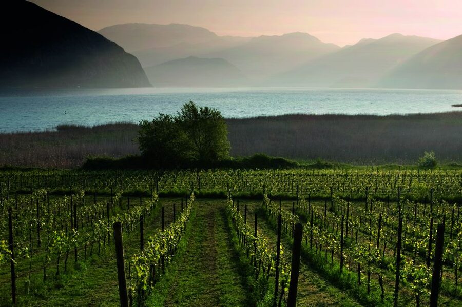 Milan: Franciacorta Winery and Bergamo Day Trip with Lunch - Should you book this Milan to Franciacorta and Bergamo day trip?