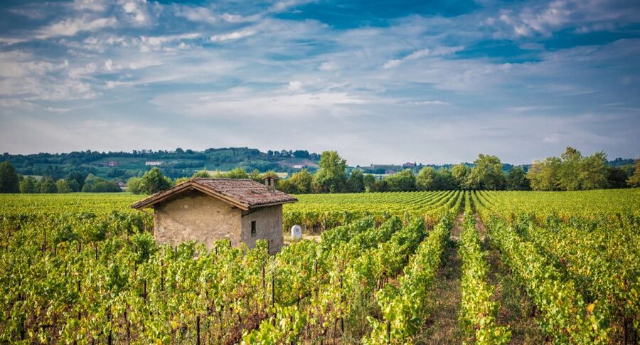 Milan: Franciacorta Winery and Bergamo Day Trip with Lunch - From Bignami to Bergamo: the ride that makes the day work