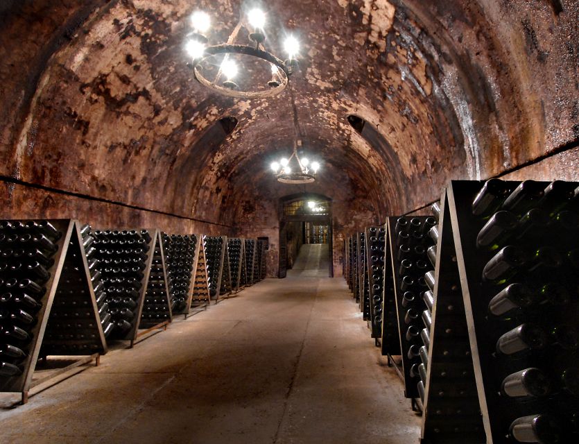 Milan: Franciacorta Winery and Bergamo Day Trip with Lunch - Lunch by Lake Iseo: a three-course pause that tastes local