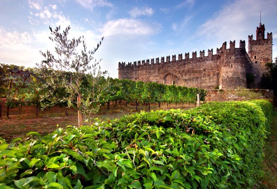Milan: Franciacorta Winery and Bergamo Day Trip with Lunch - Photo and comfort checklist for a smooth day