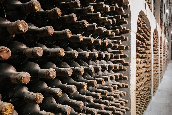 Milestii Mici Underground Winery Tour INCLUDING Wine tasting - Comfort Tips: Dress for Cool Caves, Not Outdoor Weather