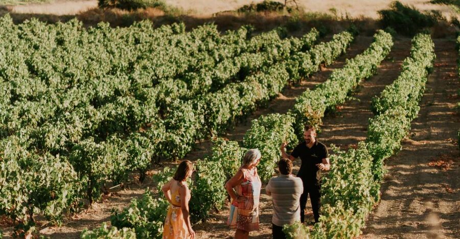 Milos Island: Kostantakis Winery Wine Tasting Experience - Who This Tour Fits Best (And Who Might Skip It)