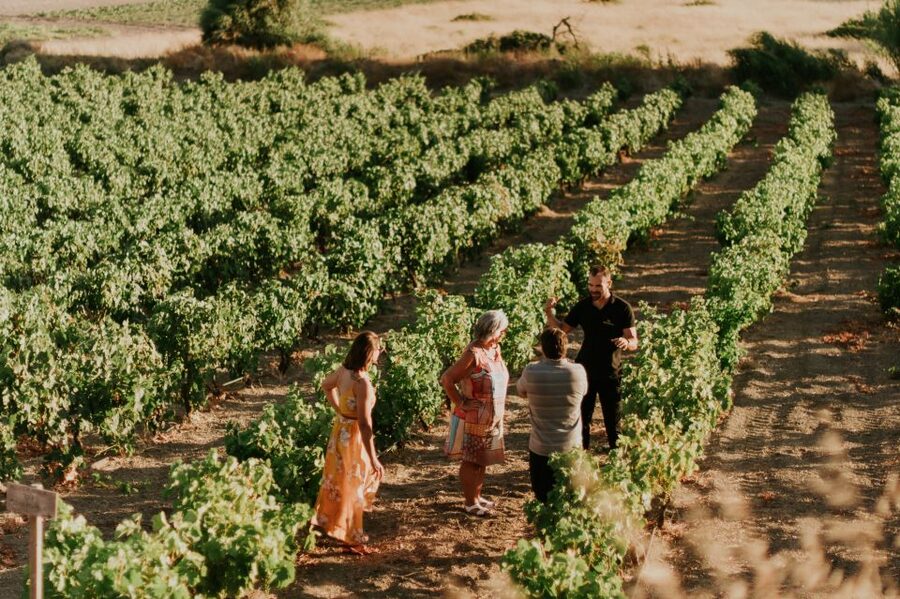 Milos Island: Kostantakis Winery Wine Tasting Experience - Getting There From Pollonia (and When You Need a Taxi)