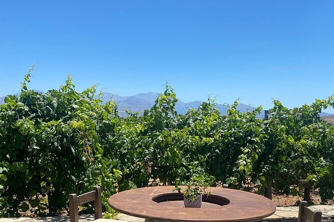 Minoan Crete: Knossos Palace, Winery Visit and Lunch at Archanes - Price and value: what your $195.07 covers (and what it doesn’t)