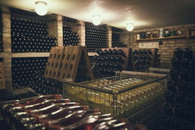 Modra: Private Wine Tasting at a Family-Operated Winery - The Family Winery Feeling: What the Welcome Is Like