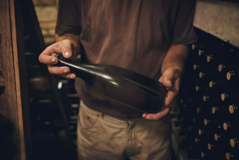 Modra: Private Wine Tasting at a Family-Operated Winery - Cheese, Bread, and the Garden Pairing That Feels Local