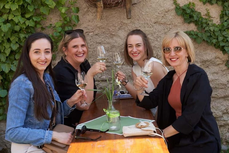 Modra: Private wine tasting guided by winery owner - The 17th-century garden, cellar, and winemaker house stops