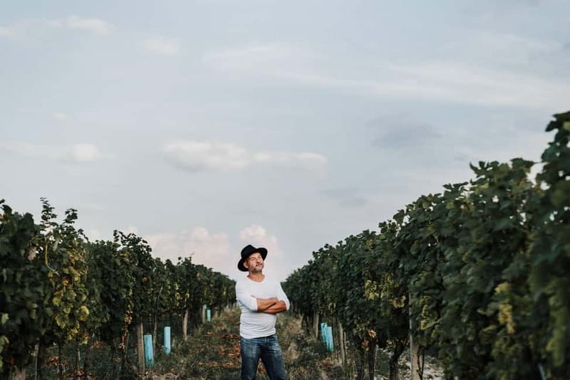 Modra: Private wine tasting guided by winery owner - The tasting flight: up to 10 wines across whites, rosé, and reds